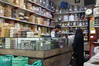 تکاپوی یلدایی شهر