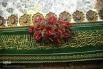 گل آرایی ضریح حضرت معصومه در آستانه سالروز ورود بانوی کرامت