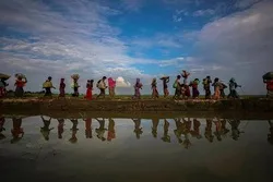 Myanmar Says Willing to Take Back All Rohingya Muslim Refugees