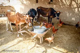 کمترین تحریری از یک زندگانی