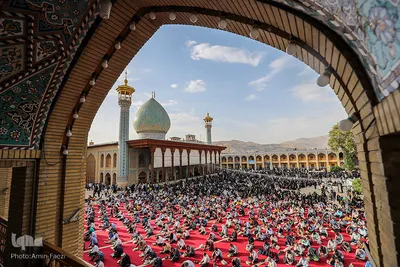 مراسم دعای عرفه در حرم مطهر شاهچراغ (ع)