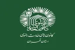 عزاداری خادم‌یاران رضوی استان تهران در شب شهادت امام رضا(ع)