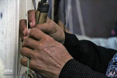 تولید در سایه وقف  -بیرجند