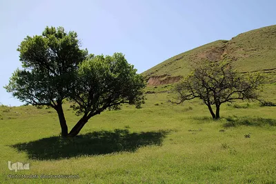 آسیاب خرابه روستای کردلر شهرستان اهر