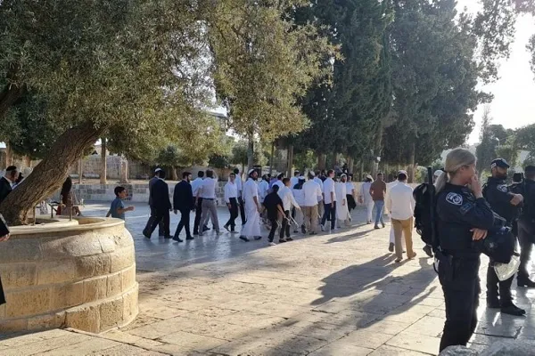 تکبیر کودکان و زنان فلسطین برای مقابله با یورش صهیونیست‌ها + فیلم