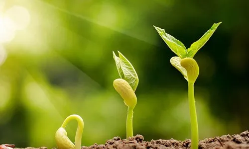 تاثیر زیست اخلاقی مسئولان بر اصلاح سبک زندگی مردم