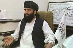 کشمیری مسلمانوں کے حق میں آواز بلند کرنیکا حق رکھتے ہیں: طالبان ترجمان