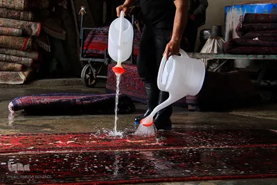 قالیشویی‌ در آستانه عید نوروز/عکاس:پریسا بهزادی