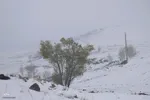 زمستان در بهار منطقه ارسباران