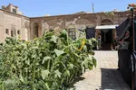 روضه 200 ساله در حسینیه محبان الزهرای بیرجند