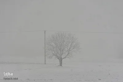 اصفهان در آغوش زمستان