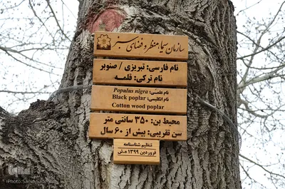 المان ها و فضاسازی شهری تبریز در نوروز 1400‎