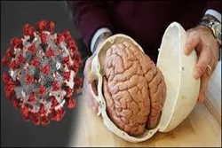 করোনায় নতুন বিপদের কথা জানালেন বিজ্ঞানীরা