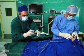 باران لبخند در کویر لب شکری های خراسان جنوبی