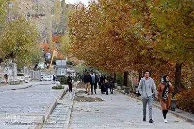 برگریزان پاییزی در همدان