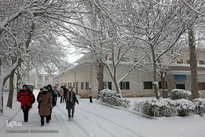 بارش برف در شهرستان اهر