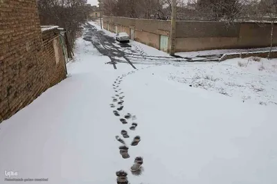 بارش برف در اهر