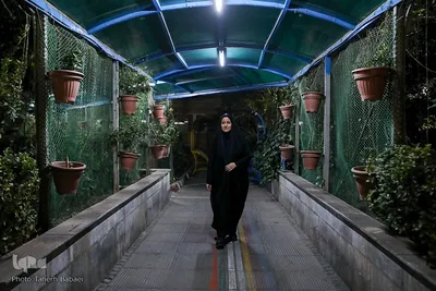 شیفت شب یکی از ویژگی‌های این شغل سخت است