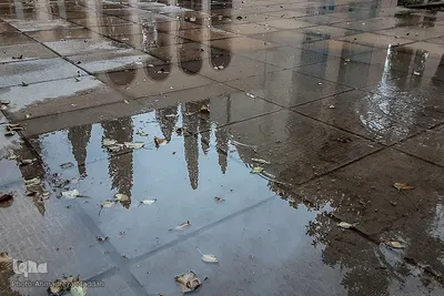 مزار سعدی، استاد سخن در شیراز