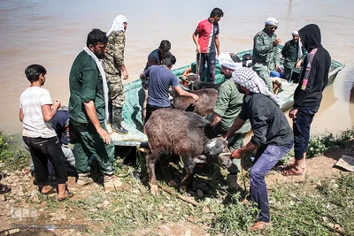  در پی وقوع سیلاب در استان خوزستان، روستاهای بخش بامدژ دچار سیل شدند. 