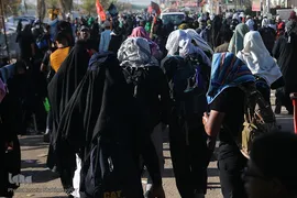 پیاده‌روی زائران اربعین از مسیر طریق الحسین(ع)