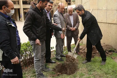 کاشت درخت توسط هنرمندان در فرهنگسرای نیاوران