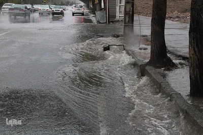 بارش باران در بیرجند