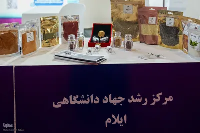 بیست و پنجمین نمایشگاه دستاوردهای پژوهش، فناوری و فن بازار