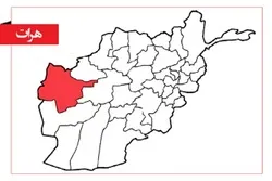 داعش ډلې د هرات د ننۍ حملې پړه ومنله