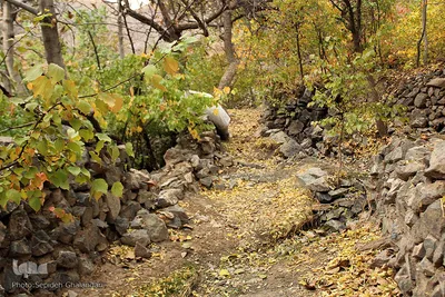طبیعت پاییزی خراسان‌جنوبی
