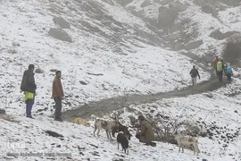 مه موجود در مسیر کوهپیمایی دائما در حال تغییر است