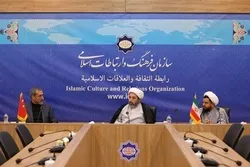 ICRO Chief Urges Turkey’s Contribution to Development of New Islamic Civilization