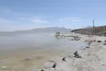 بازدید تور رسانه‌ای از کاکایی ارمنی در جزیره شاهسون دریاچه ارومیه و مزرعه پرورش آرتمیای بندر رحمانلو در عجب‌شیر