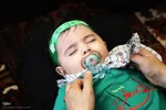 همایش شیرخوارگان حسینی در اهر