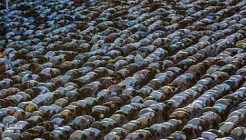 مراسم نماز عید قربان در جوار حرم امام حسین و برادرش عباس (ع)