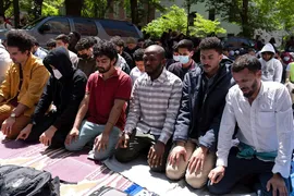 جنبش دانشجویی دفاع از غزه