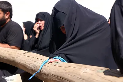 مراسم نخل‌برداری به مناسبت شهادت امام رضا(ع) در یزد‎