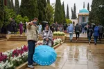 روز شیراز‎