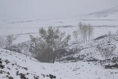 زمستان در بهار منطقه ارسباران