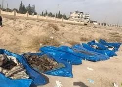 Découverte d’une fosse commune à Riqqa