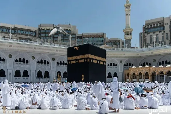 السعودية: جميع تأشيرات دخول المملكة تسمح بأداء مناسك العمرة