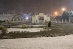 رخت سفیدبرتن ملایر‎