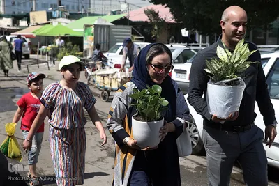 بازار گل شهید محلاتی در روز ملی گل