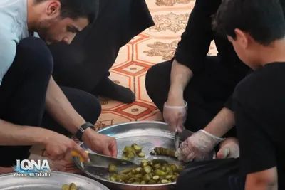 فعالیت موکب ملایری ها در کربلای معلی