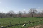 طبیعت بهاری روستاهای شهرستان اهر