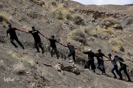 نخل‌گردانی روز عاشورا در روستای ابیانه