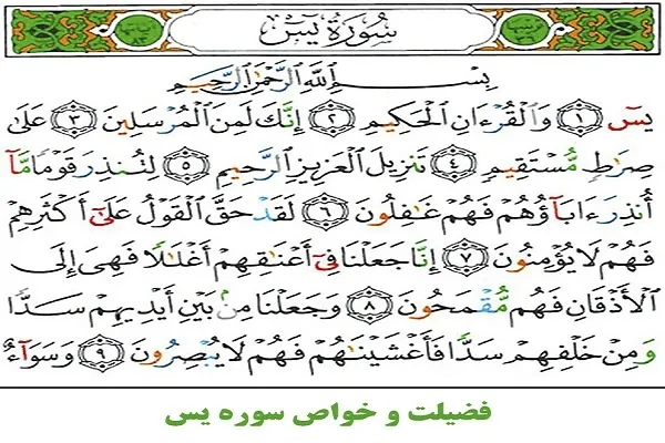 ویانا کښې  د سوره يس د حفظ کولو اینټرنیټي پلان وړاندې شو