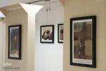 از قندهار تا شرهانی در قاب تصویر مبارزه