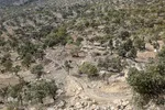 آخرین وضعیت روستاهای زلزله زده اندیکا