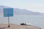 بازدید تور رسانه‌ای از کاکایی ارمنی در جزیره شاهسون دریاچه ارومیه و مزرعه پرورش آرتمیای بندر رحمانلو در عجب‌شیر